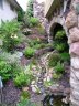 2004_1210tarra0008.JPG 