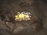 2008_0525stairfloor0013.JPG 